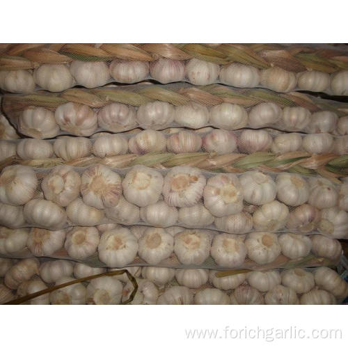 Good Quality Garlic Products Garlic Braids